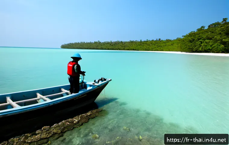 태국의 해안 생태 연구 - Photorealistic coastal ecology field study in southern Thailand, French and Thai marine researchers ...