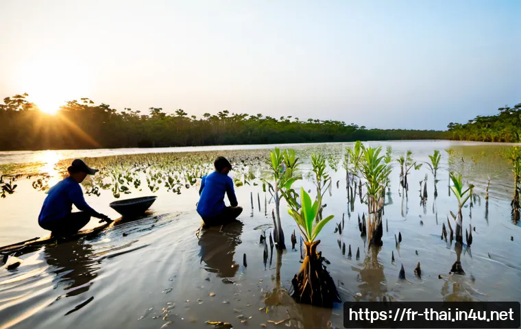 Home 17 태국의 자연 자원 보호 - Photorealistic wide-angle view of a Thai mangrove restoration project at sunrise, local conservation...